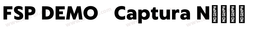FSP DEMO   Captura N字体转换